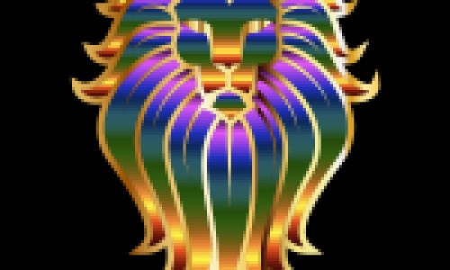 煤气小火炖鸡的功效网- 小火炖鸡啥意思知识,分享小火炖鸡还是大火炖鸡