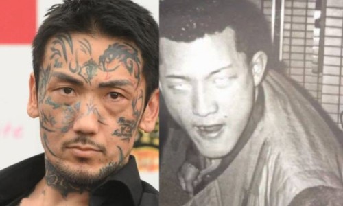 煤气小火炖鸡的功效网- 小火炖鸡啥意思知识,分享小火炖鸡还是大火炖鸡