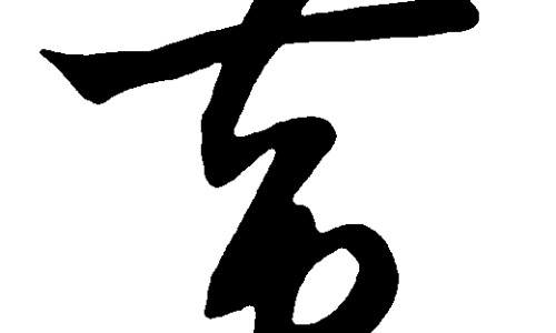 煤气小火炖鸡的功效网- 小火炖鸡啥意思知识,分享小火炖鸡还是大火炖鸡